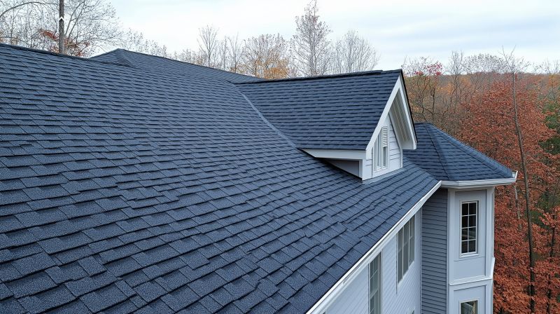 Summer Roofing Maintenance